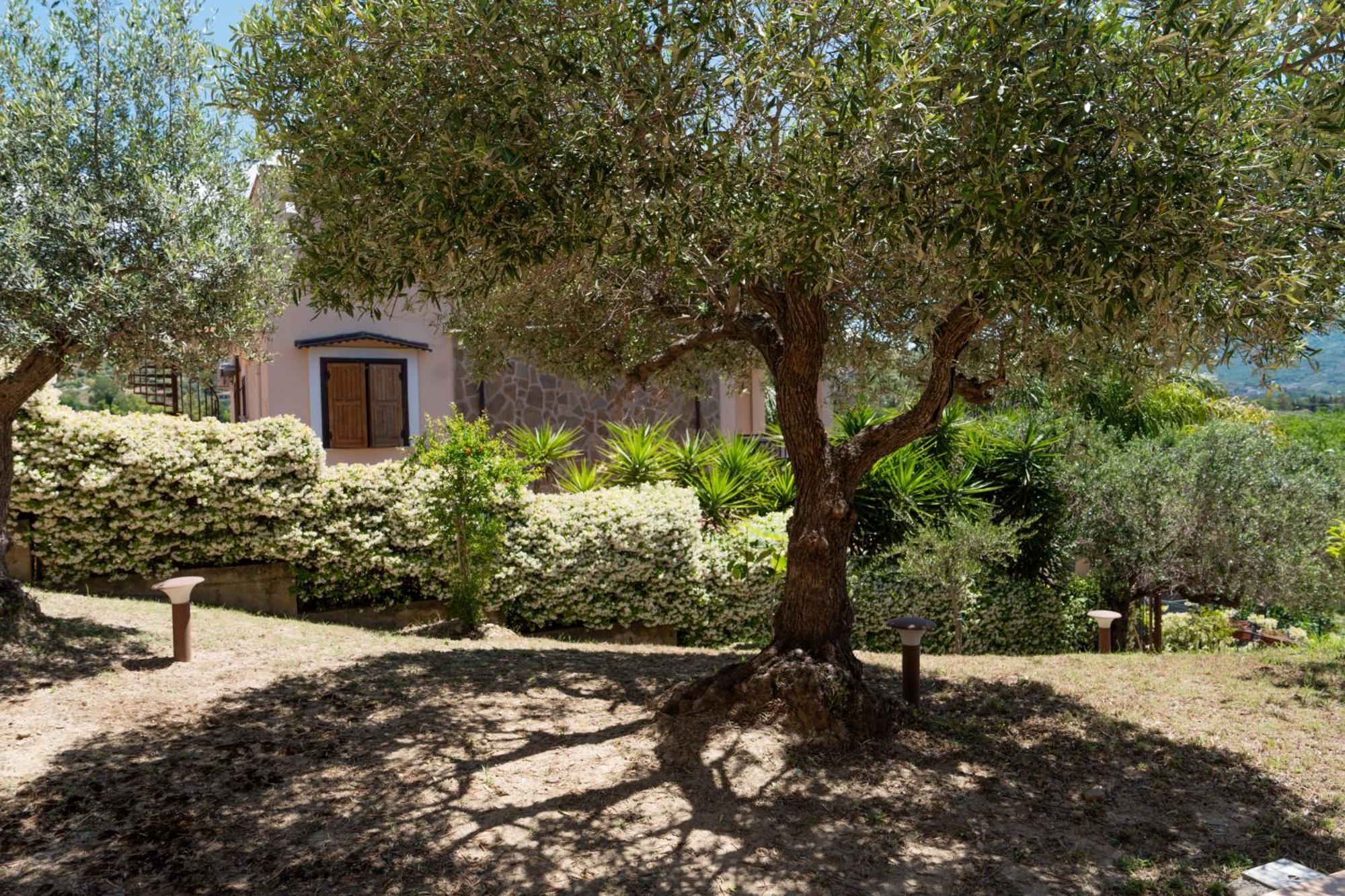 Villa Santangelo Agropoli Exteriér fotografie